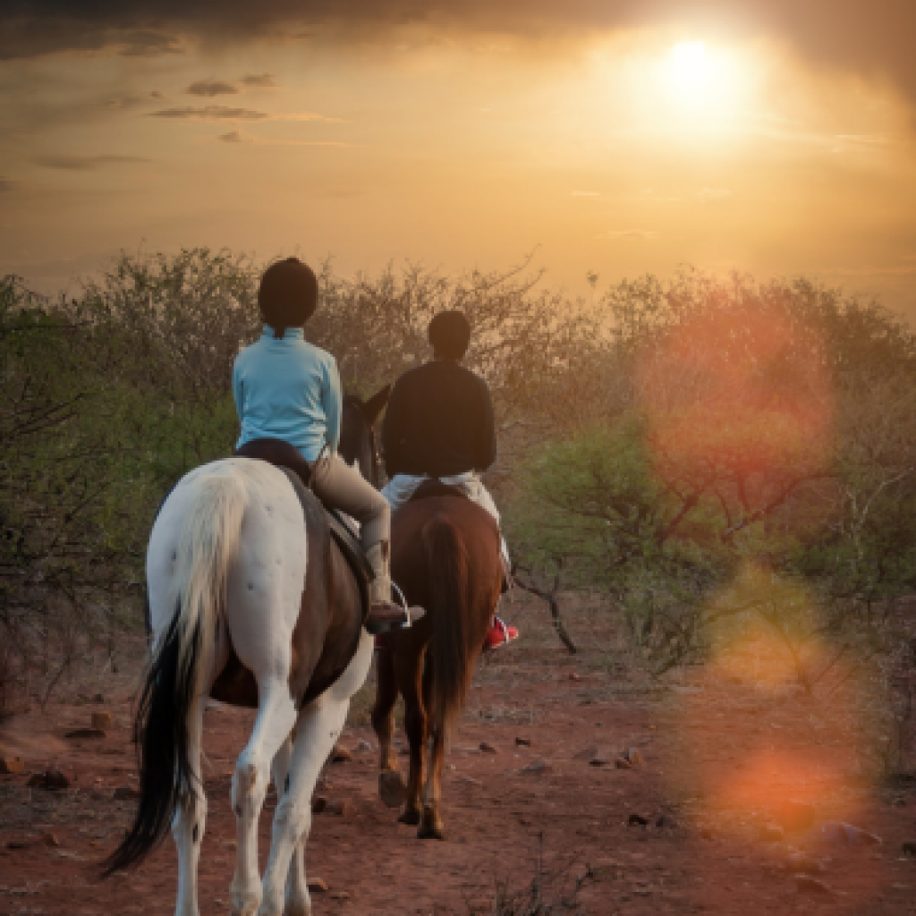 Balade à dos de cheval